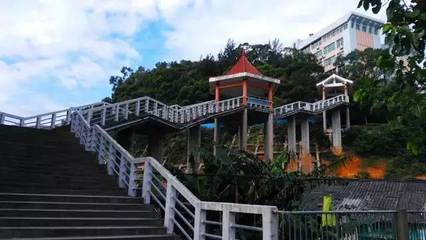 報考福建師范大學(xué)福清分校,官微君為您答疑解惑!