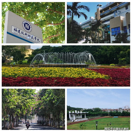 福建技術(shù)師范學(xué)院2021招生章程重點(diǎn)解讀